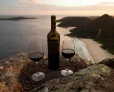 vindulge wine food travel lifestyle blog