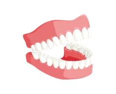 <strong width=