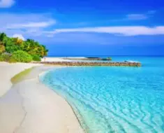 What occurs if you consume sea moss daily?