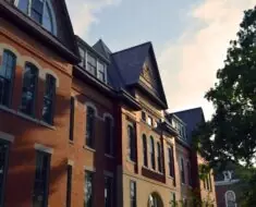 <strong width=