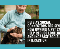 Pets as Social Connectors for Seniors: How Owning a Pet Can Help Reduce Loneliness and Increase Social Interaction