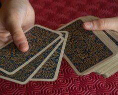 puzzle and card games