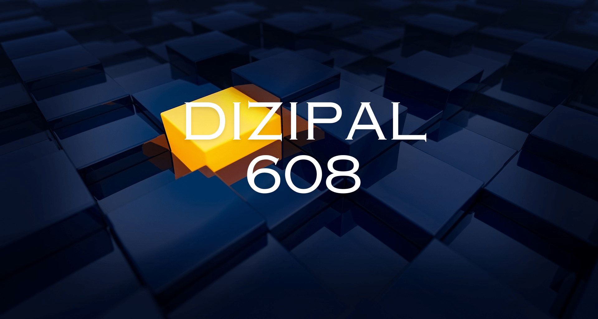Dizipal 608