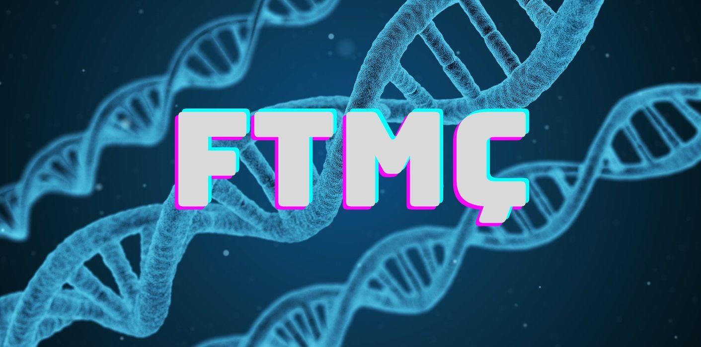 FTMç