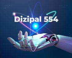 Dizipal 554